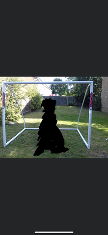Photo of free Goal Post (North Finchley N12) #1