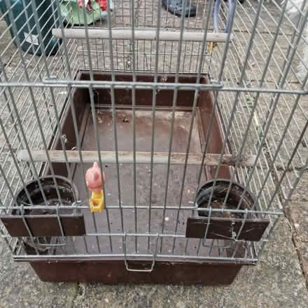 Photo of free Bird Cage (Huntingdon PE29) #1