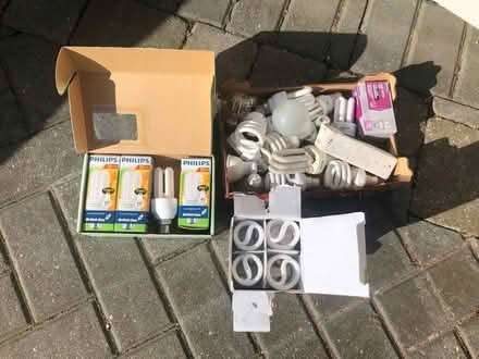 Photo of free Light bulbs (Shifnal TF11) #1