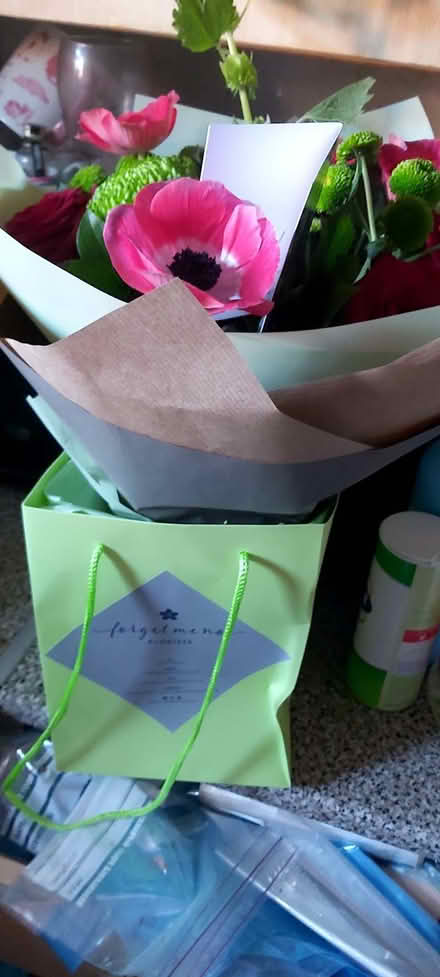 Photo of Hi is anyone gifting eney king size duvet & pillow in good c (Meole Brace SY3) #1