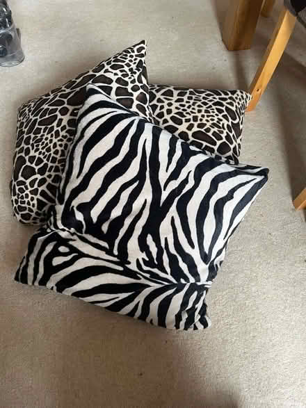 Photo of free 3 Animal Print Cushions (Wickford SS11) #1