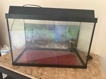Photo of free Empty fish tank and wooden Table (SE2) #2