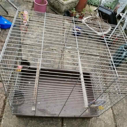 Photo of free Bird Cage (Huntingdon PE29) #3