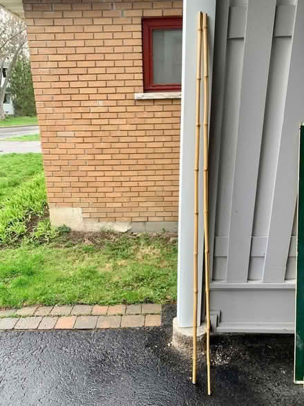 Photo of free Bamboo poles (Carlingwood area) #1