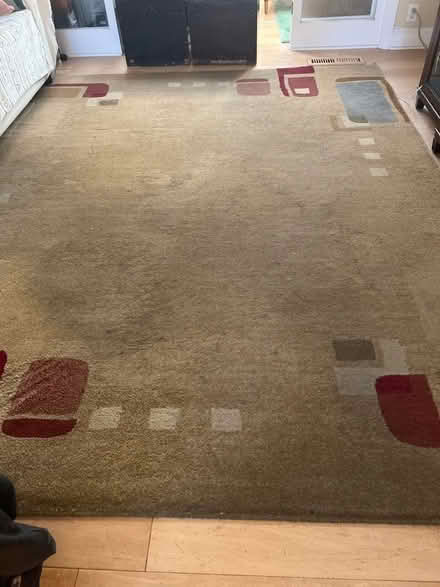 Photo of free Area Rug (San Jose) #1
