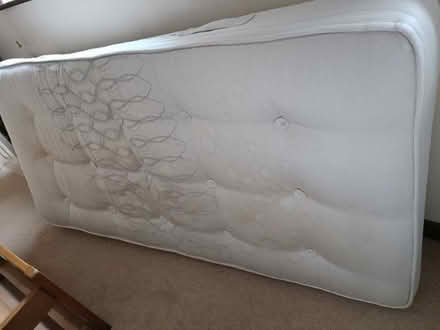 Photo of free Single Bed with guest bed (Clifton SG17) #3
