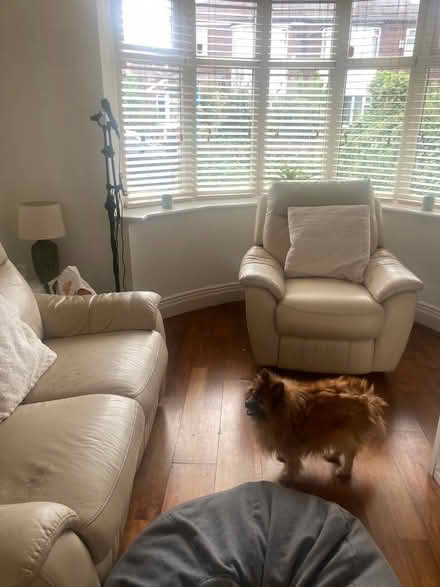 Photo of free Leather seatee and chair (Abbey hey Gorton) #1