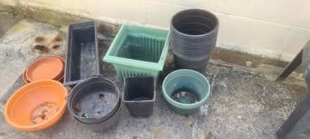 Photo of free Various plastic plant pots (Denbigh LL16) #1