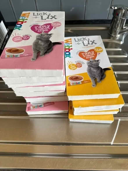 Photo of free Cat food and treats (Foxholes SG13) #4