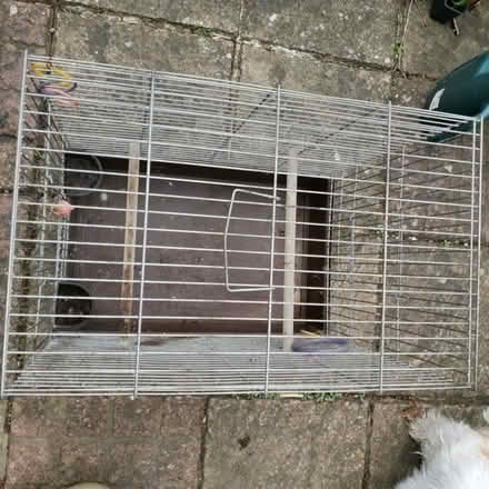 Photo of free Bird Cage (Huntingdon PE29) #2