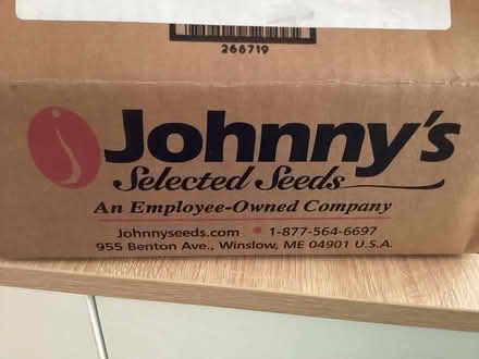 Photo of free Dozen asparagus crowns (Watertown/Waltham/Belmont line) #2