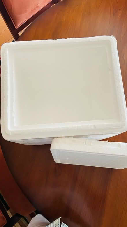 Photo of free Styrofoam Cooler (Central Alameda) #2