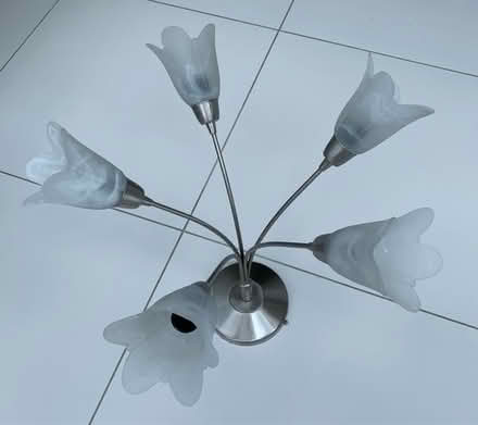 Photo of free Brushed chrome light fitting (Hockley, Essex) #1