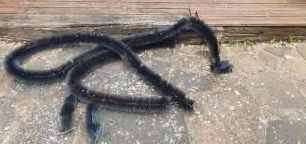 Photo of free Gutter brushes x4 lengths (Orpington, Green Street Green) #2
