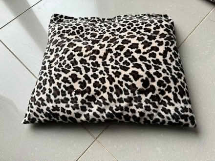 Photo of free Leopard print cushion (Highbury Barn N5) #1