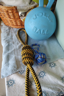 Photo of free Dog tug toys and a Jolly Ball (Greenbank and Hunt Club) #1