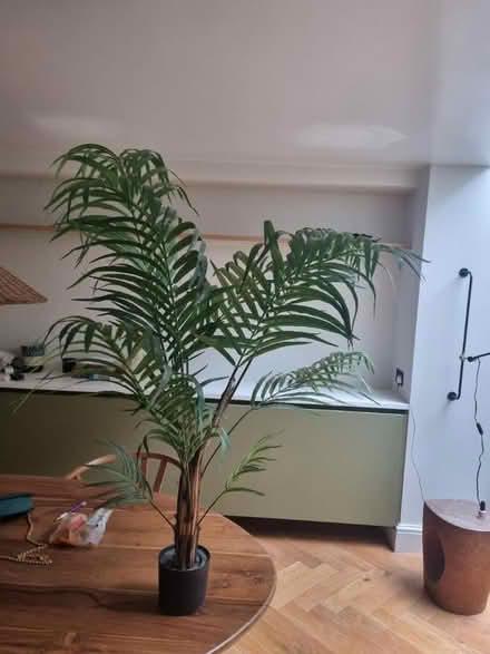 Photo of free Fake plant (N1 Islington) #1