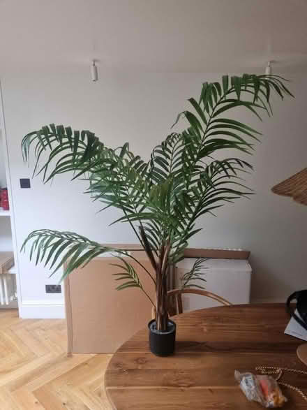 Photo of free Fake plant (N1 Islington) #3