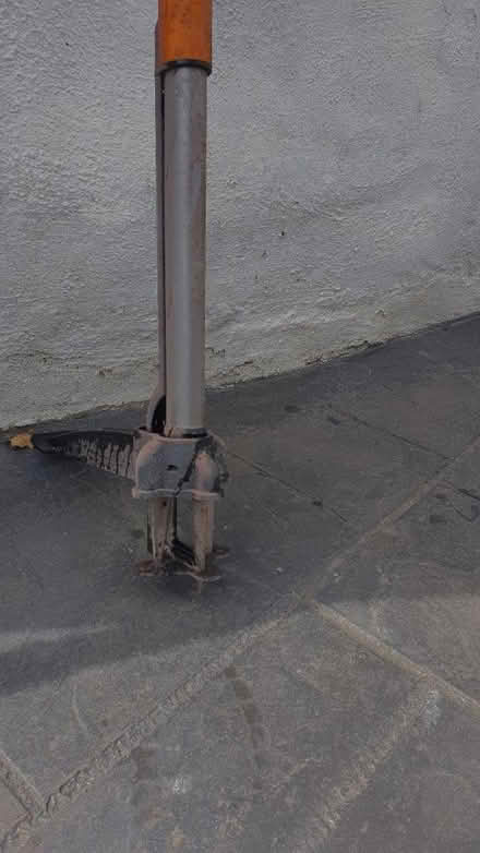 Photo of free Weed remover Fiskars (WF13 back of fire station) #2