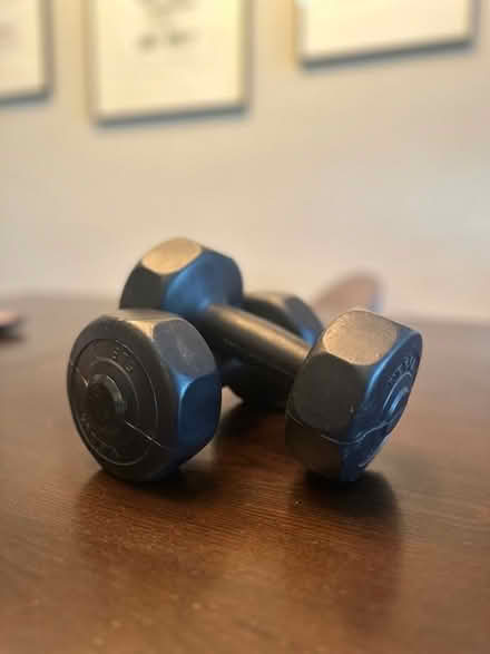 Photo of free 5-lb. Dumbbells (Upper East Side) #1