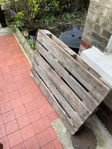 Photo of free Wooden pallet (Balham SW12) #1