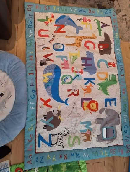 Photo of free Baby play mat (Summertown OX2) #1