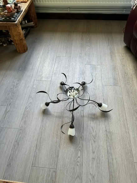 Photo of free Decorative Light Fitting (East Dean BN20) #1