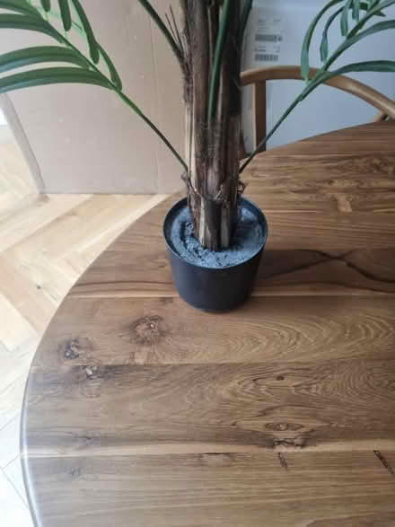 Photo of free Fake plant (N1 Islington) #2