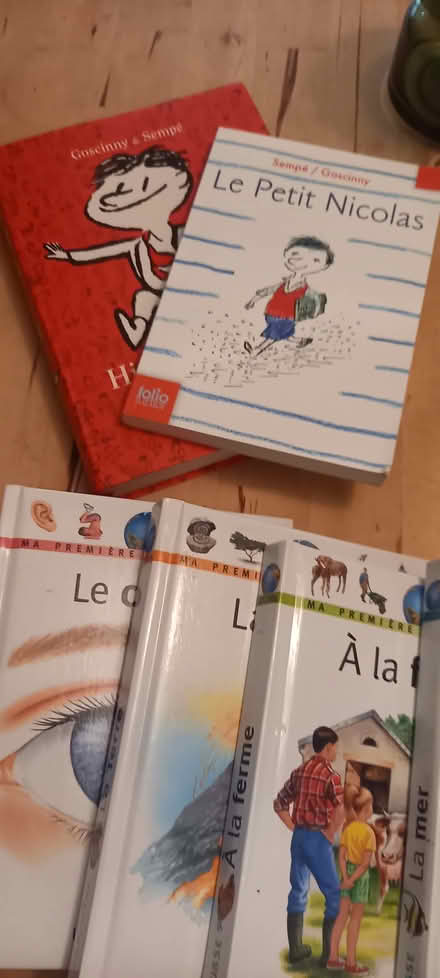 Photo of free French language children's books (Tooting SW17) #1