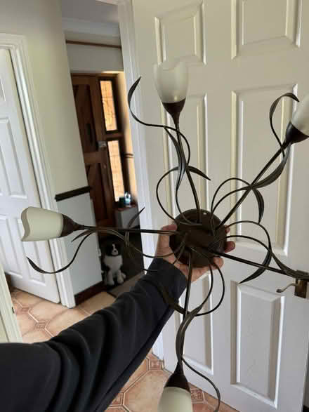 Photo of free Decorative Light Fitting (East Dean BN20) #2