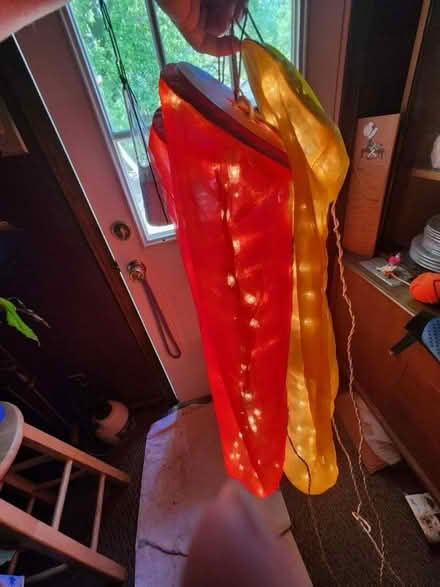 Photo of free Electric party lanterns (Sherwood) #1