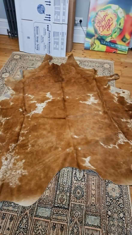 Photo of free Cow hide rug (Beckenham) #1