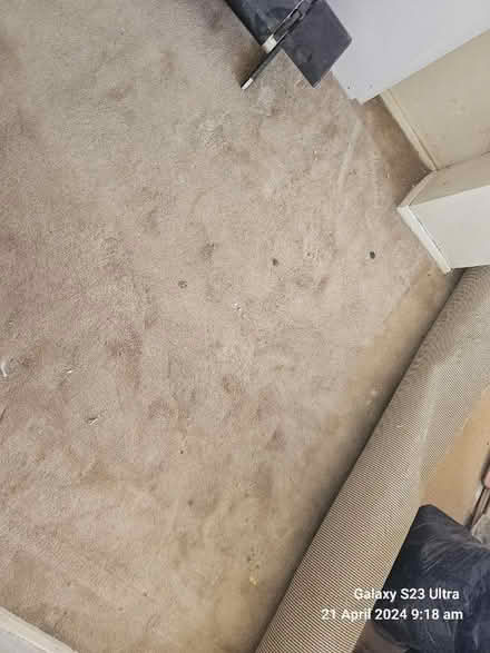 Photo of free Carpet (IG1) #1