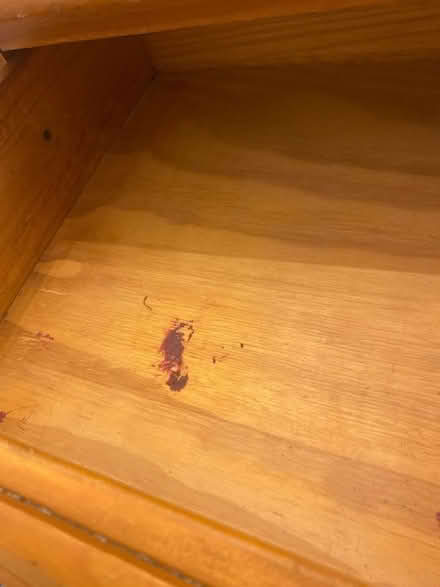 Photo of free Pine bedside cabinet (L15) #3