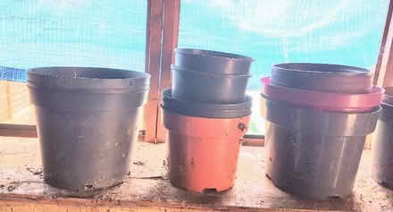 Photo of free Various plastic plant pots (Rudheath CW9) #1