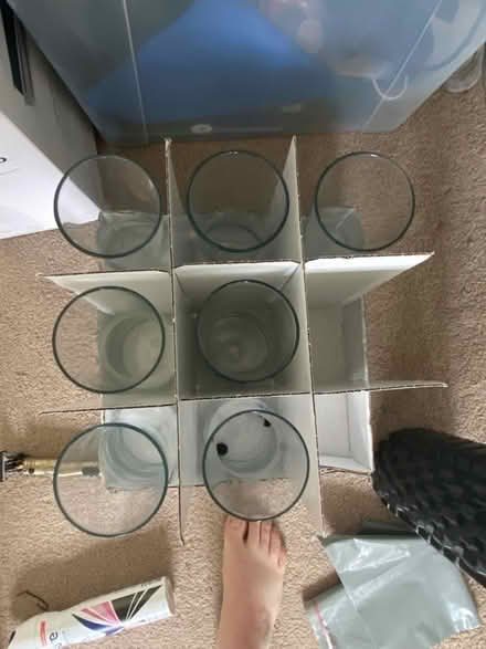 Photo of free Vases (Hackney - E5) #1