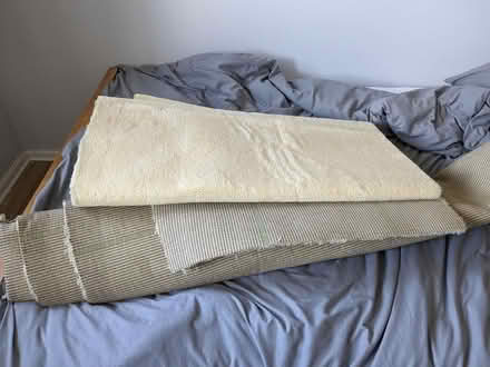 Photo of free Beige carpet offcuts (Hackbridge) #1