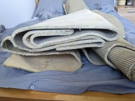 Photo of free Beige carpet offcuts (Hackbridge) #2