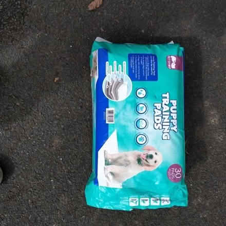 Photo of free Puppy training pads (Stainton CA11) #1
