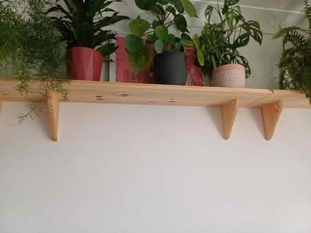 Photo of free Wood shelves (Branksome BH12) #1