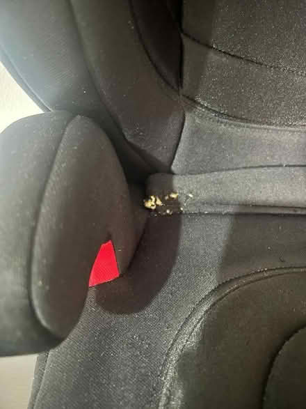 Photo of free joie car seat (used) (N15) #2