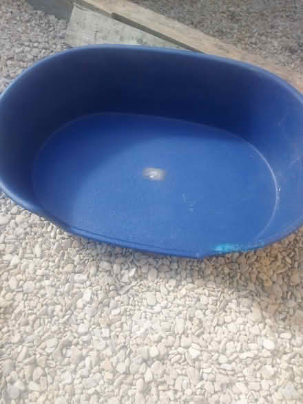 Photo of free Dog bed (Rockgreen SY8) #1