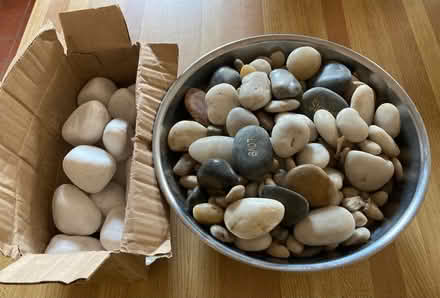 Photo of free Assorted Pebbles (Somerset/Bayswater) #1