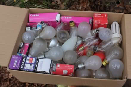 Photo of free Bulbs, bulbs, bulbs (Bucknell SY7) #1