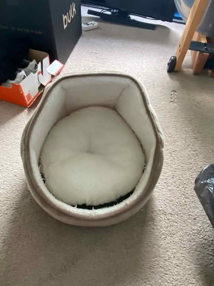Photo of free Kitten / small cat bed (Hackney - E5) #3
