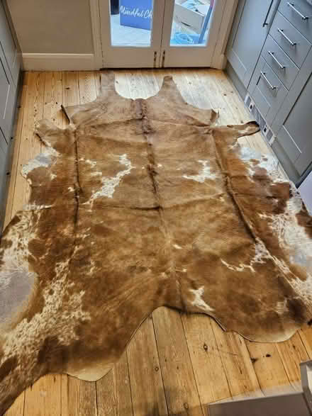 Photo of free Cow hide rug (Beckenham) #2