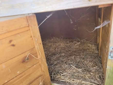 Photo of free Rabbit hutch (Gaisbourgh road) #2