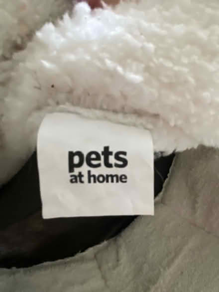 Photo of free Kitten / small cat bed (Hackney - E5) #1