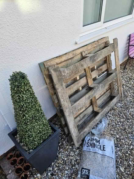 Photo of free 2 pallets (EX8) #1