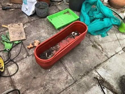Photo of free Old plastic planters (Alverstoke) #1